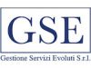 gse-logo gse logo